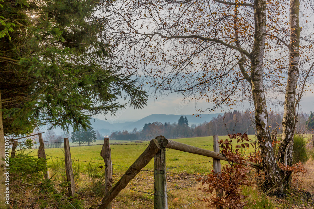 beautiful image of a meadow with wooden poles and barbed wire on a wonderful and cold winter day in of the Belgian Ardennes beautiful image of a meadow with wooden poles and barbed wire on a wonderful and cold winter day in of the Belgian Ardennes