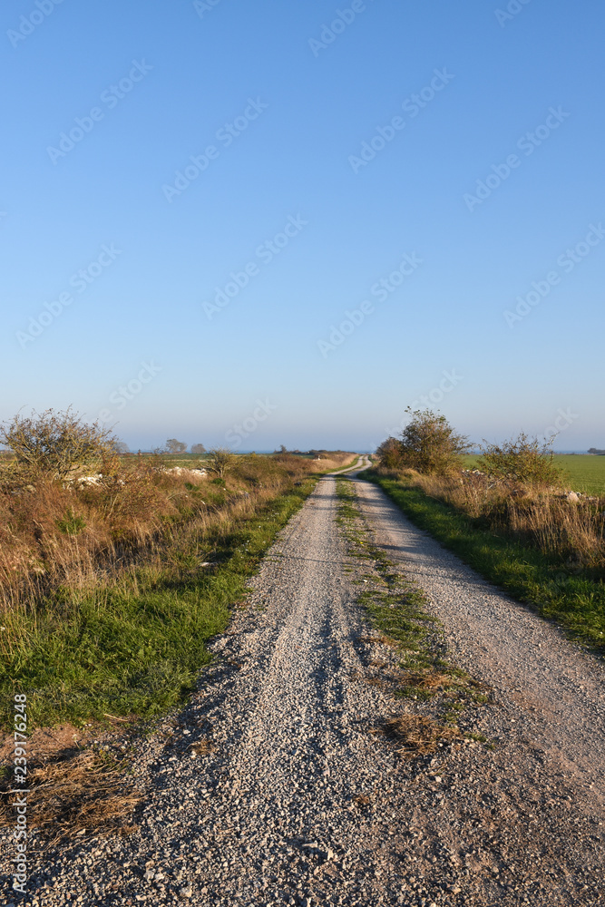 Beautiful gravel road in the countryside Beautiful gravel road in the countryside