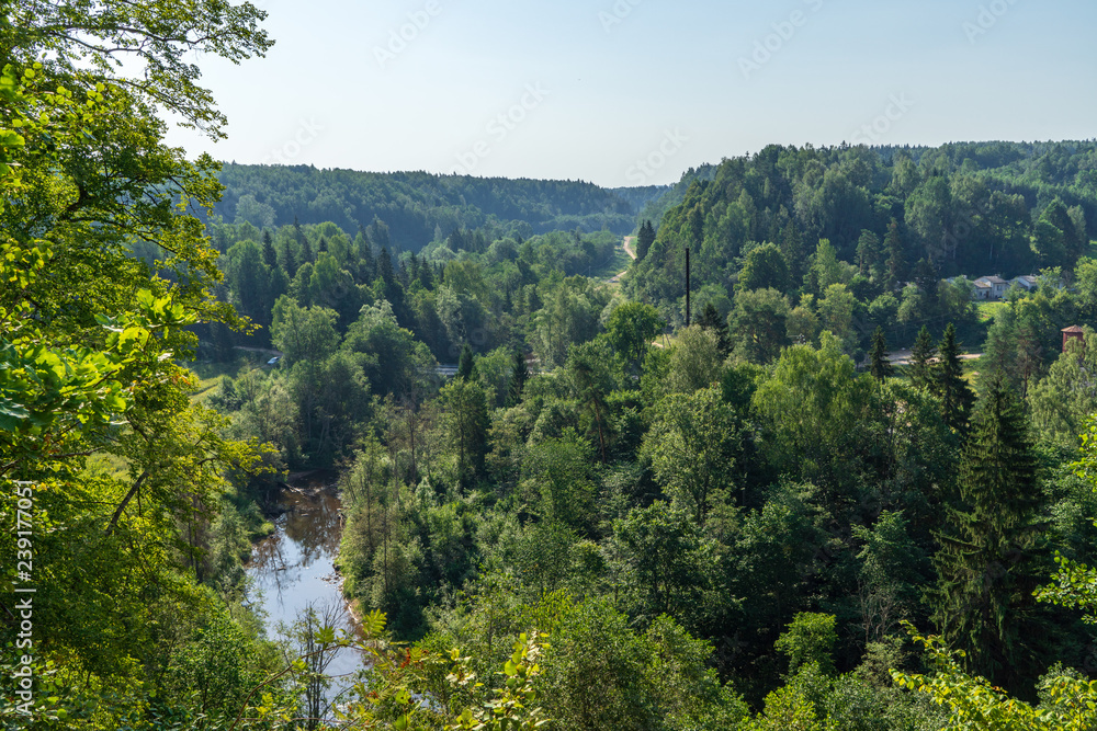wavy river in forest in green summer
