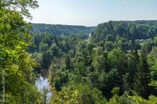 wavy river in forest in green summer © Martins Vanags