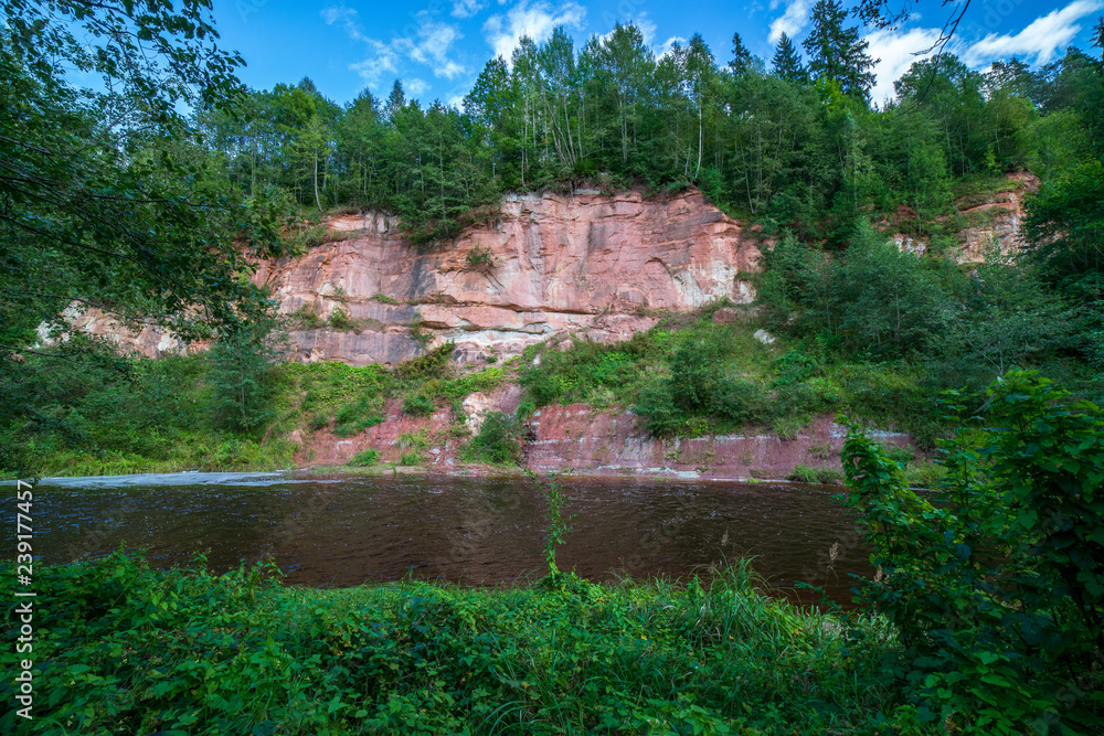 Fototapeta premium wavy river in forest in green summer