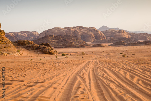 The desert at morning