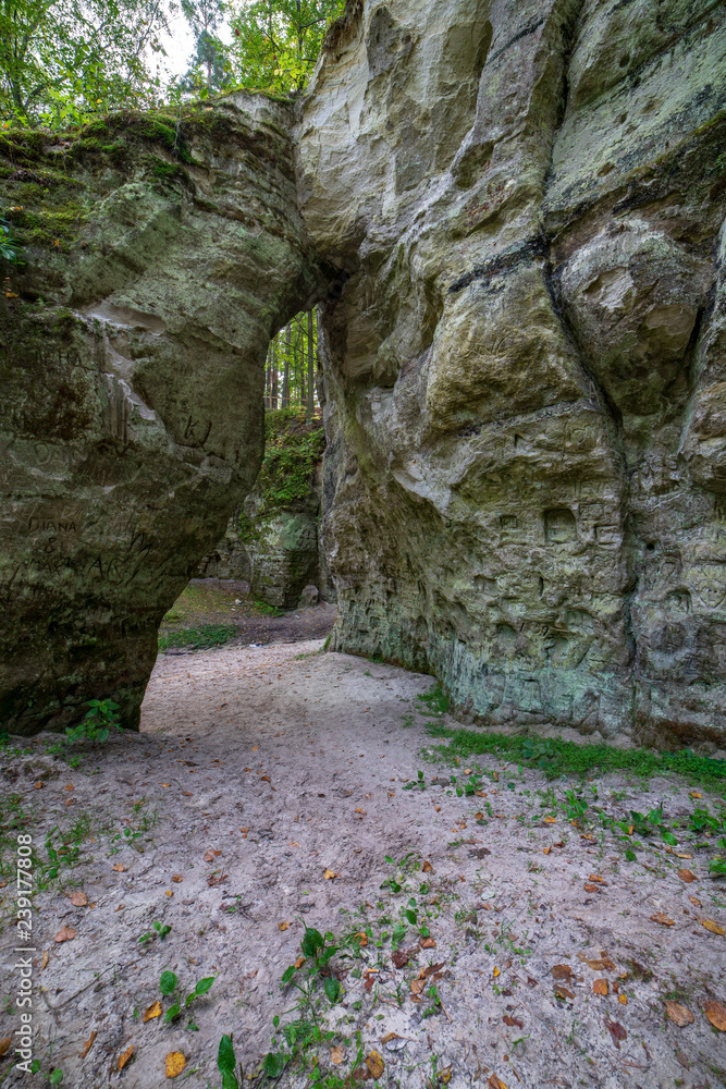 sandstone cliffs with tourist trail on river of gauja, Latvia sandstone cliffs with tourist trail on river of gauja, Latvia