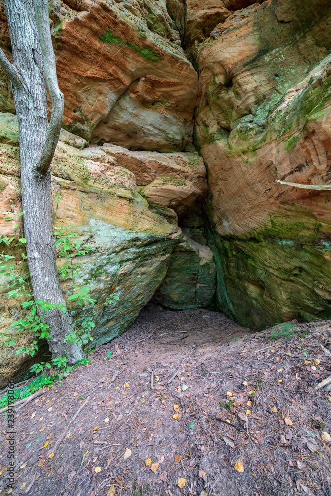 sandstone cliffs with tourist trail on river of gauja, Latvia sandstone cliffs with tourist trail on river of gauja, Latvia