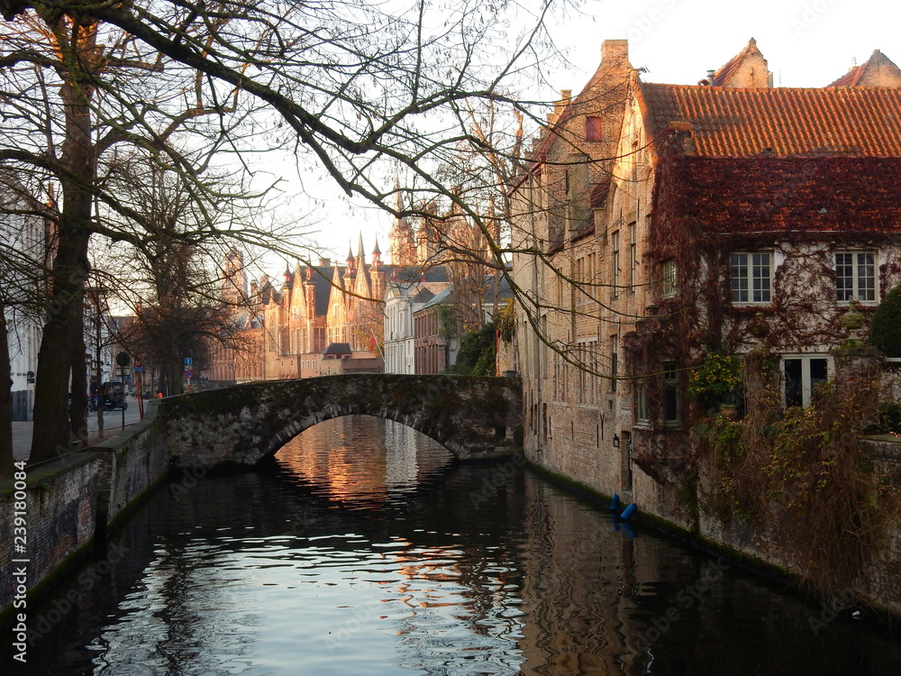 Fototapeta premium Bruges, perla delle Fiandre