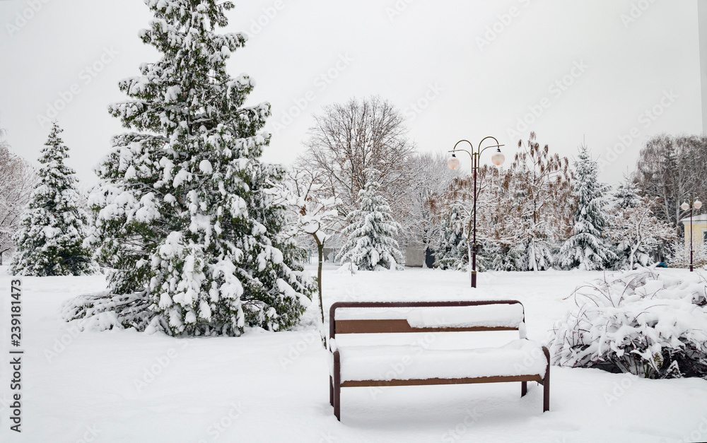 trees and benches covered with white snow