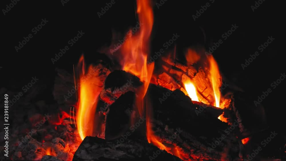 Close up bonfire flames of camping fire 4K Close up bonfire flames of camping fire 4K