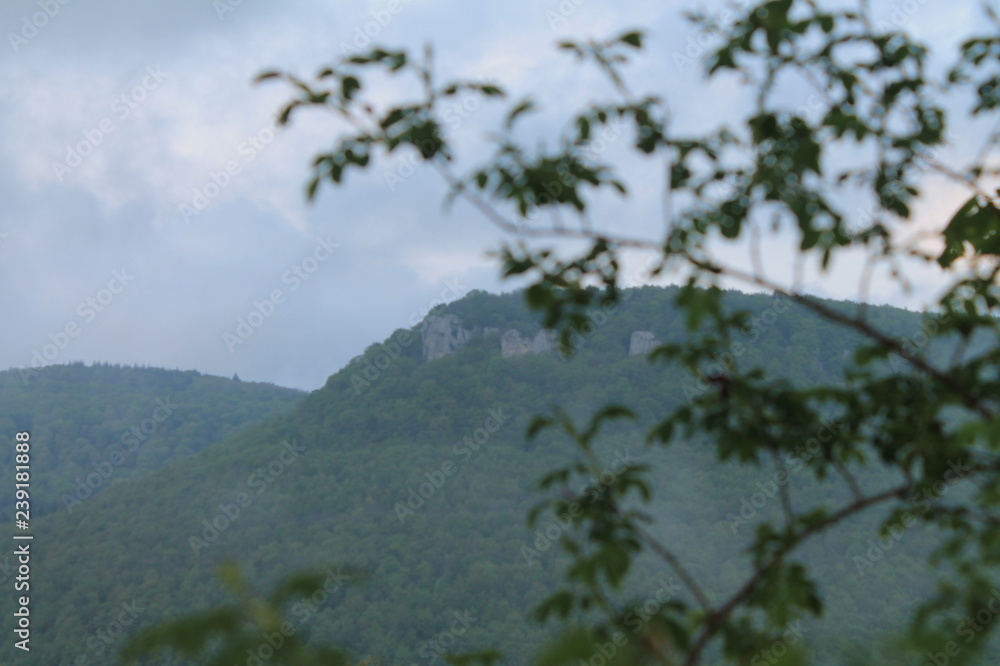 Obraz premium Mädelsfels mit Ast