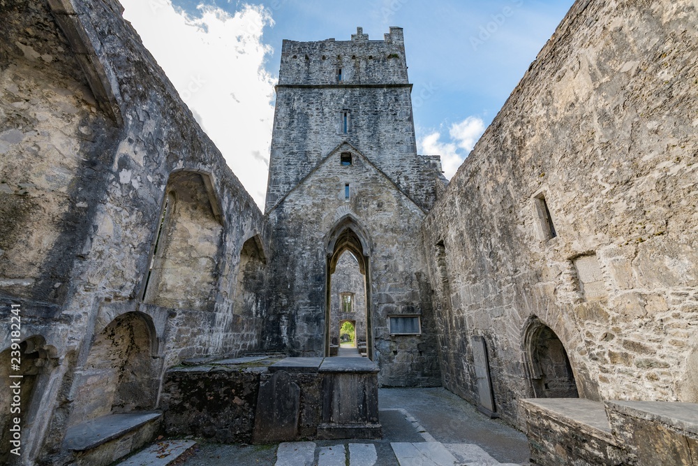 Muckross Abbey in the Killarney National Park