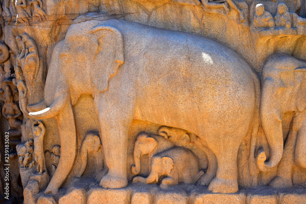Chennai, Tamilnadu - India - September 09, 2018: Elephants rock in Mamallapuram