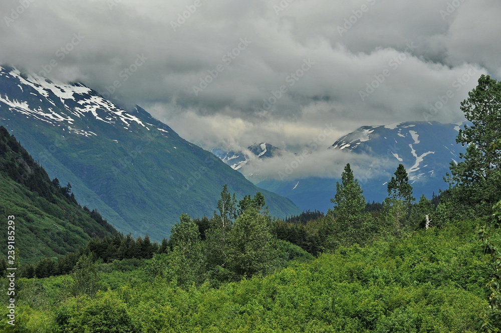 Alaska. Mountains and forests.