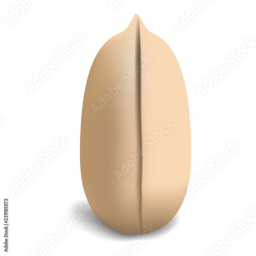 Clean peanut icon. Realistic illustration of clean peanut vector icon for web design