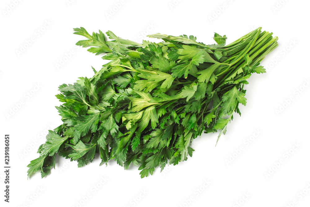 Green parsley