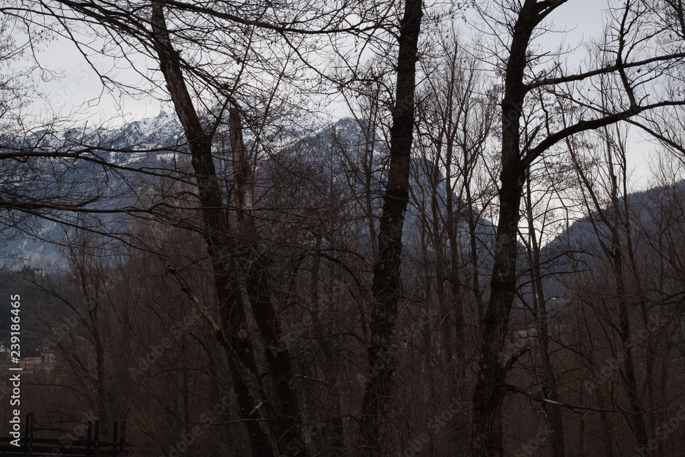 Obraz premium paesaggi di montagna autunnali