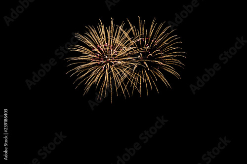New Years Eve fireworks  such as two wonderful bouquets of flowers