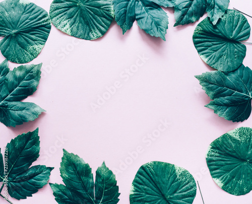 Dark green leaves frame over pastel pink from above.