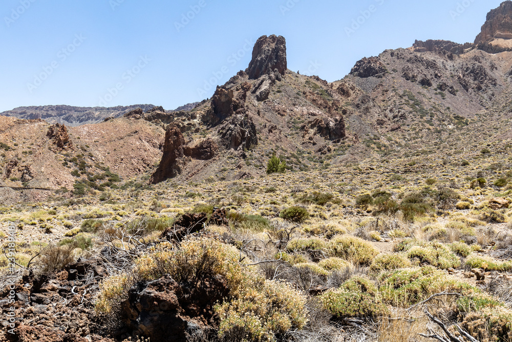 Nationalpark El Teide in Teneriffa,