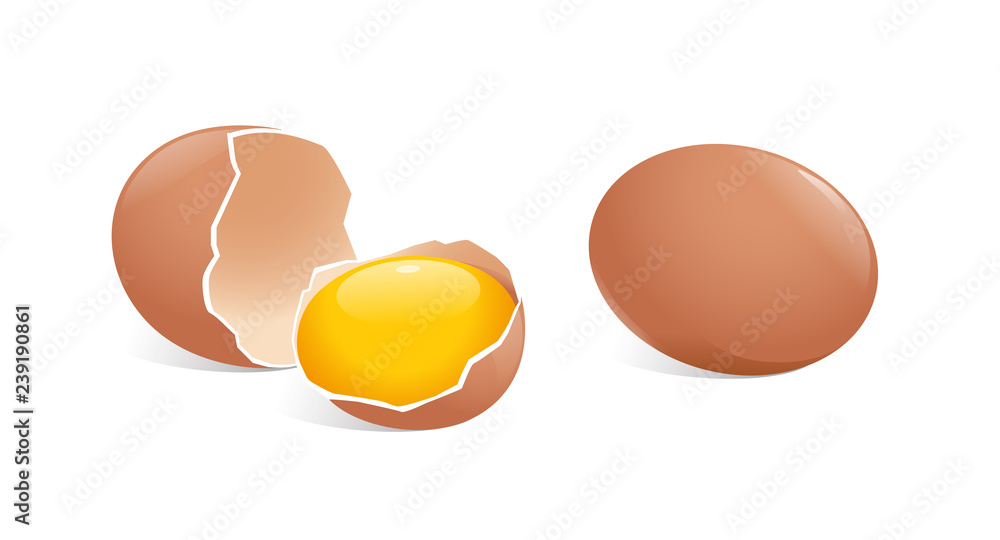 vector illustration of whole egg and broken egg with yolk - obrazy, fototapety, plakaty 