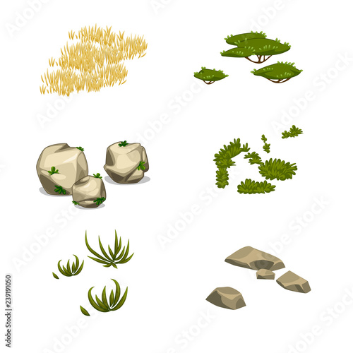 vector set of savanna plants items vegetarian nature