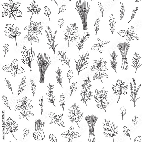 herbs and spice seamless pattern