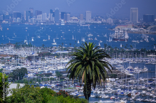 Beautiful panoramic view of San Diego city skyline and bay from Point Loma