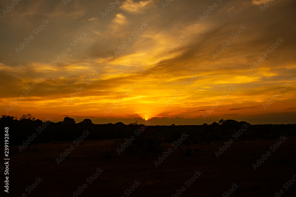 Atardecer Atardecer