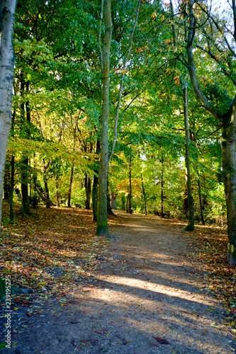 Lydiard Park photo