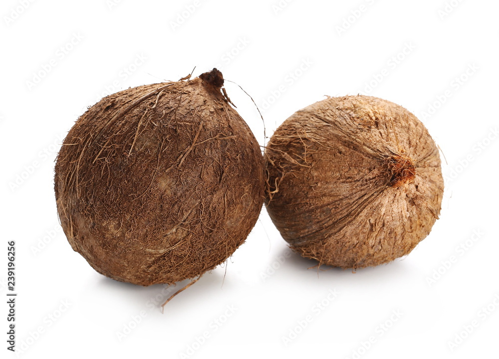 coconut shell isolated on white background coconut shell isolated on white background