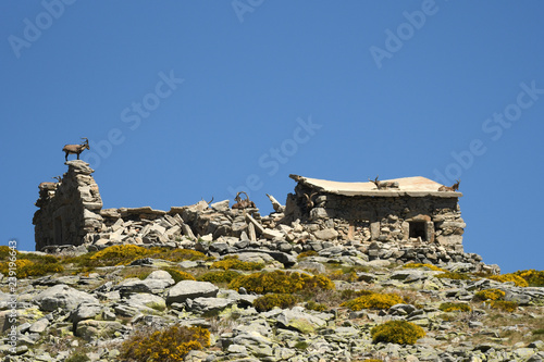 landscape of a refuge in the sierra de gredos photo