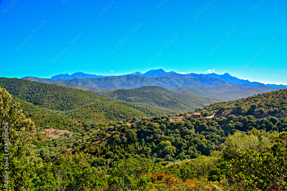 Corsican wilderness