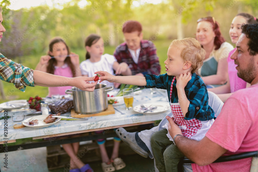 Picture of big happy family having lunch in their backyard. Small boy taking food from his mothers hand while sitting in fathers lap. Picture of big happy family having lunch in their backyard. Small boy taking food from his mothers hand while sitting in fathers lap.