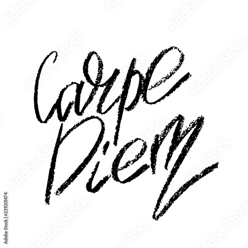 Carpe diem. Vector inspirational quote typographical background made in messy hand written style. Template for card  poster  banner  placard  print for t-shirt.