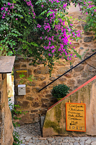 flowers on the wall in Pigna