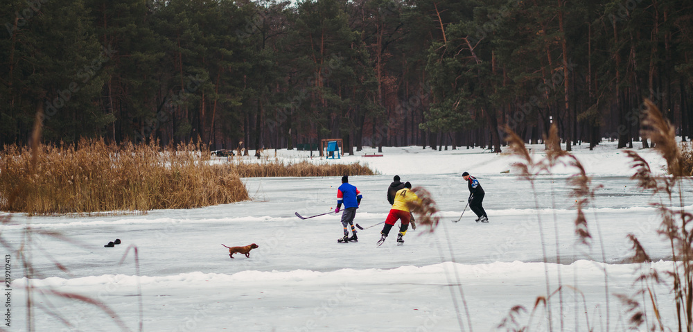 Fototapeta premium Hockey. Street hockey