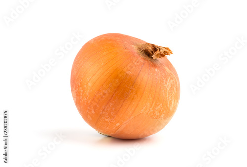 One onion on a white background. Unpeeled fresh bulb close-up on a white background.