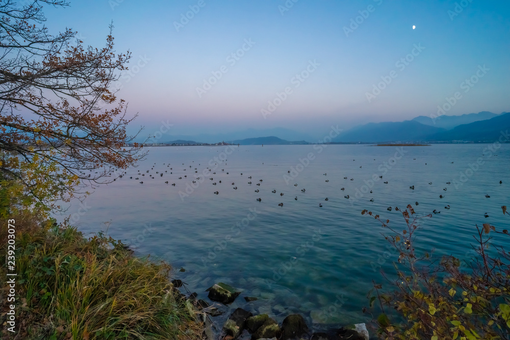 Landscapes along the shores of the Upper Zurich Lake (Obersee) with large colonies of duck sleeping on the waters, near Rapperswil, Sank Gallen, Switzerland