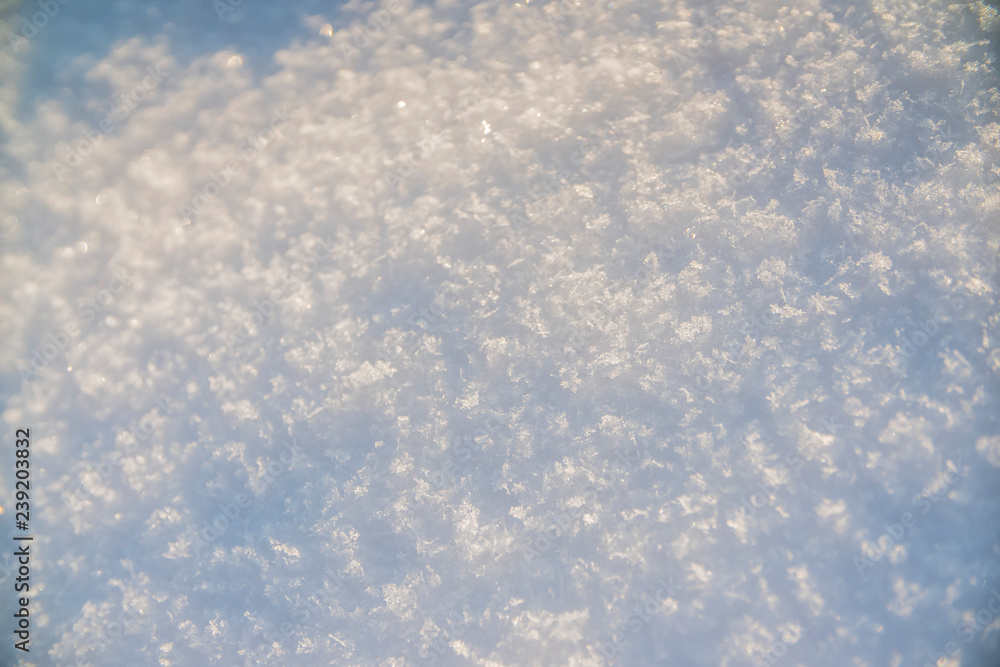 background white snow closeup 