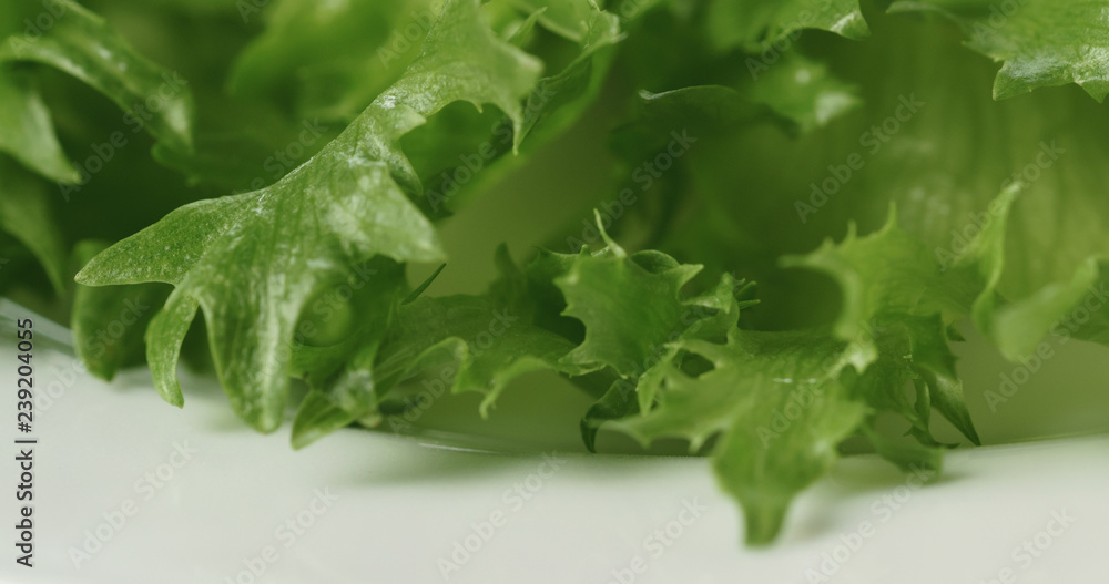 Closeup of green frillies lettuce on white plate Closeup of green frillies lettuce on white plate