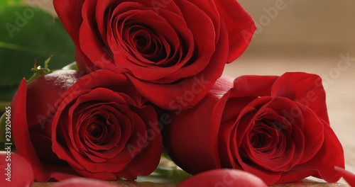 Closeup   of beautiful red roses and petals on old wood table