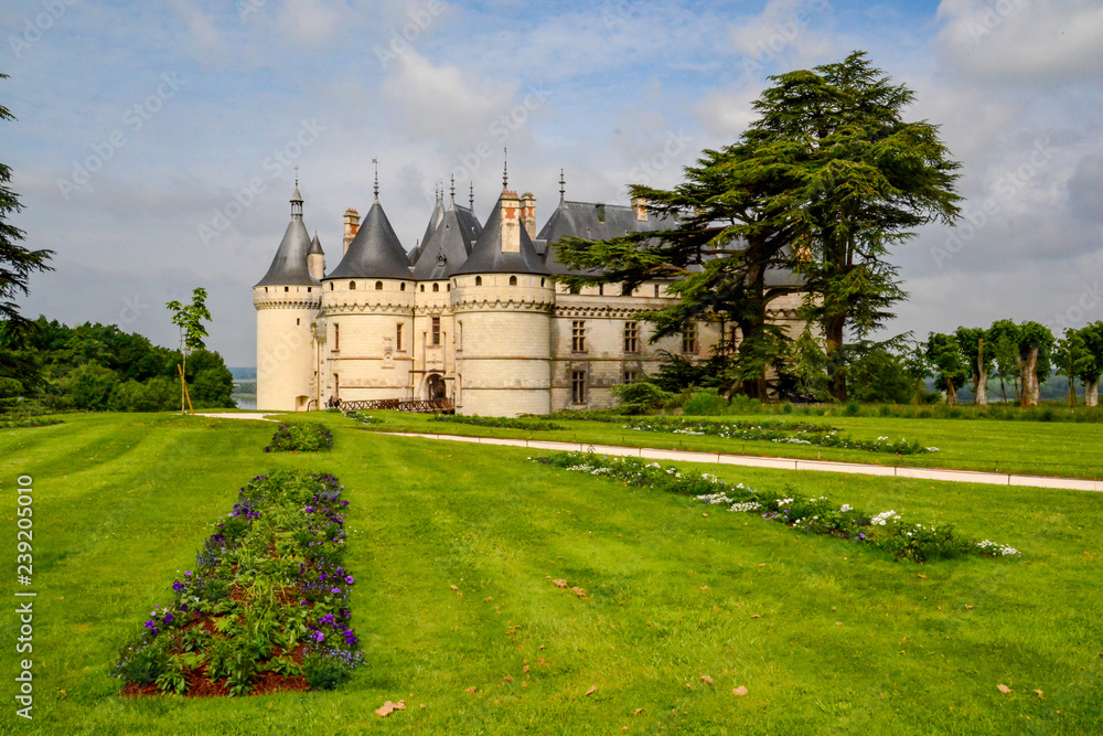 Chateau in Loire Valley