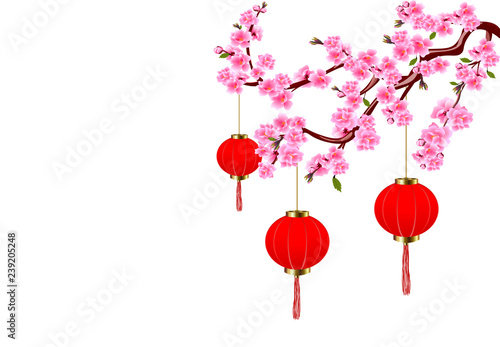Chinese New Year. Sakura and red lights. Cherry flowers with buds and leaves on the branch. illustration