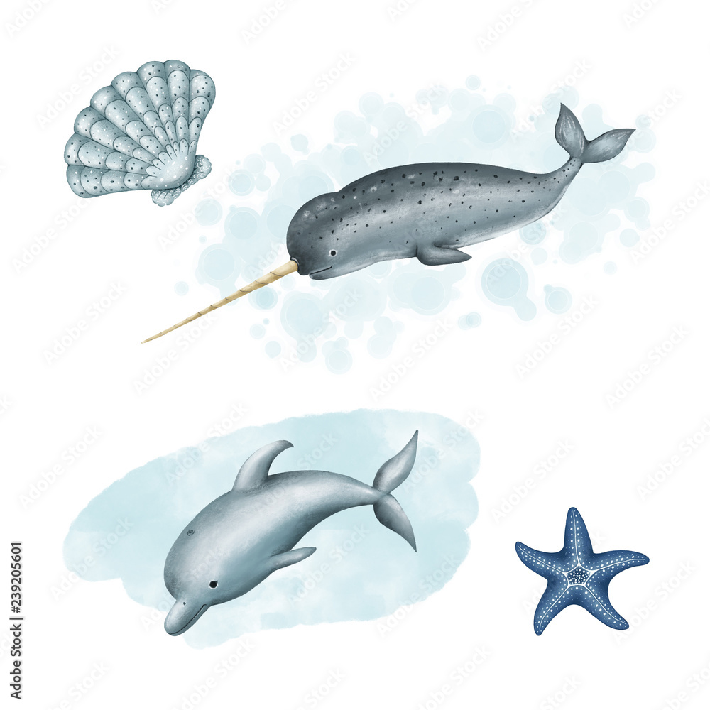 Obraz premium dolphin and narwhal sea unicorn. set of drawings of sea animals and mollusks on a white background