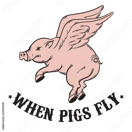 When pigs fly. Quote typographical background. Vector hand drawn illustration of flying pig. Template for card, poster, banner, print for t-shirt.