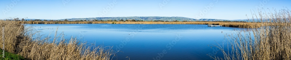 Panoramic view of one of the ponds surrounded by tule reeds and cattail in Coyote Hills Regional Park; Diablo mountain range in the background, Fremont, east San Francisco bay area, California
