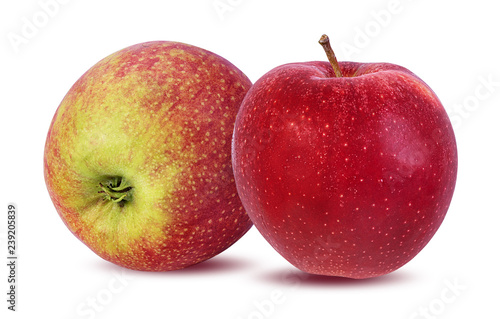 Apple on a white background