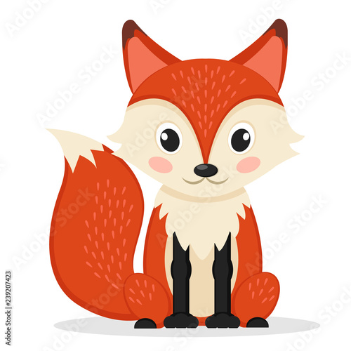 Sly Fox sitting on a white. Wild animal.