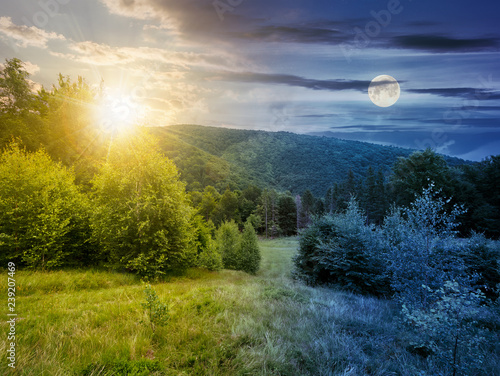 day and night time change concept. forested area in mountains with sun and moon. calm nature with green grassy meadow and cloudy sky © Pellinni