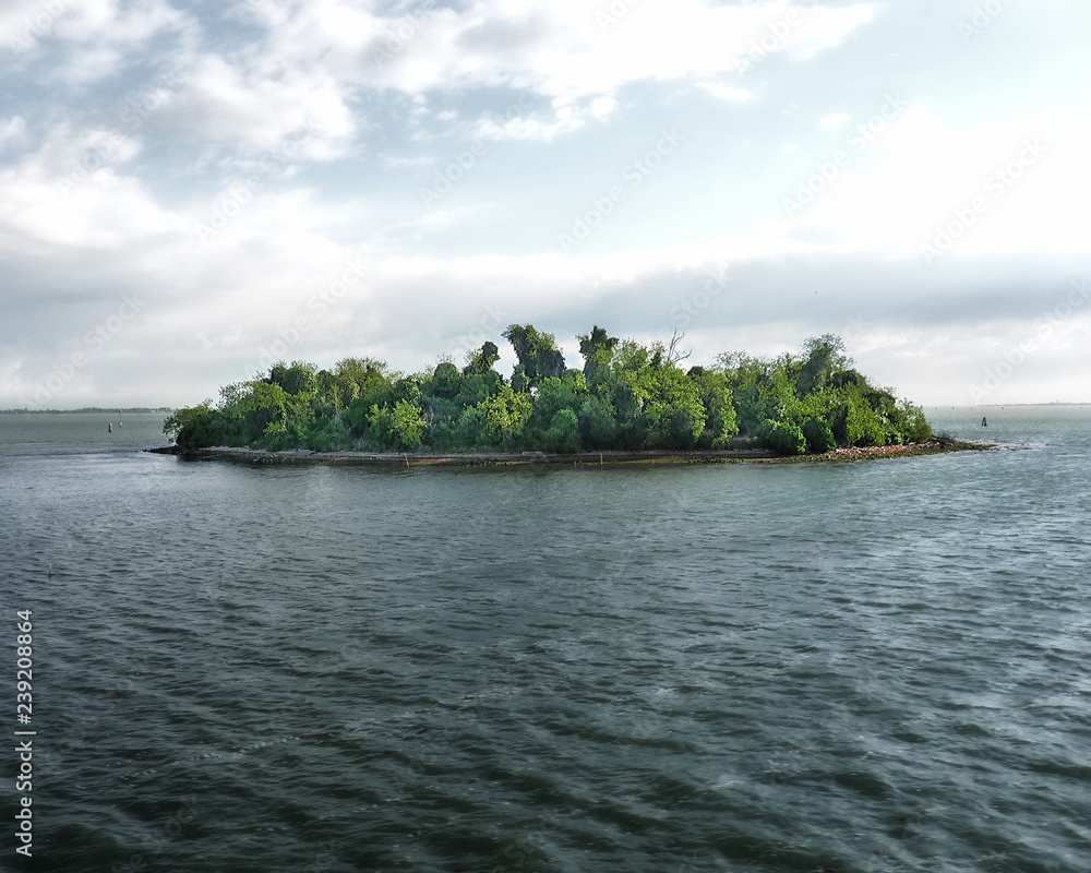 Small island with trees