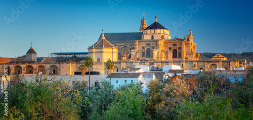 View on the famous Mezquita...