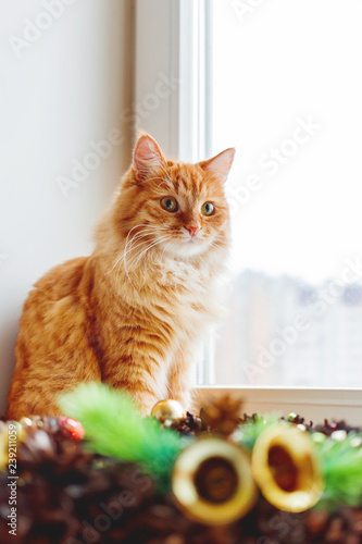 Cute ginger cat sitting on window sill near handmade Christmas wreath. Fluffy pet and craft New Year decoration.